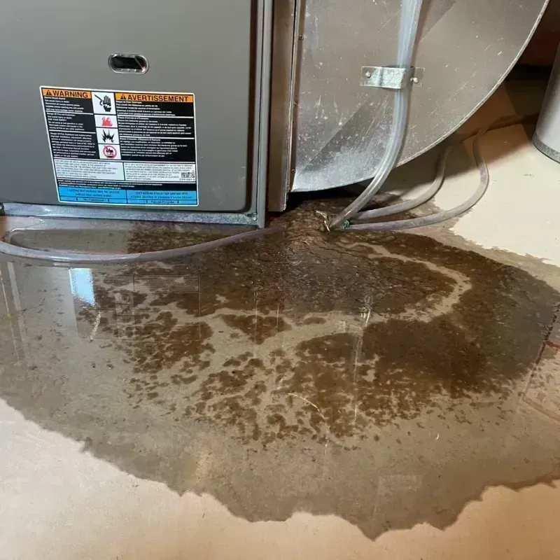 Appliance Leak Cleanup in Ballard County, KY